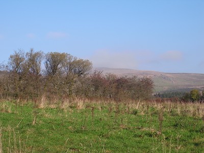 b0110999_2041535.jpg