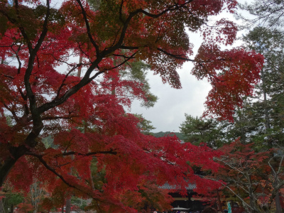 c0125501_23122100.jpg