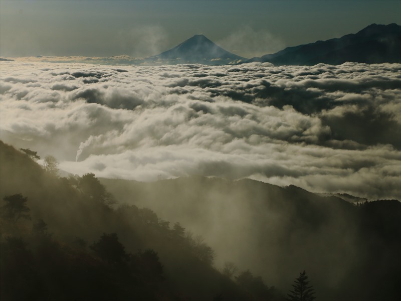 a0188405_23523219.jpg