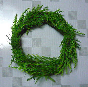 a0214206_12534100.jpg
