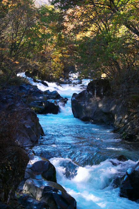 a0263109_20425544.jpg