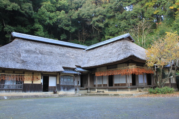 d0237309_2151346.jpg