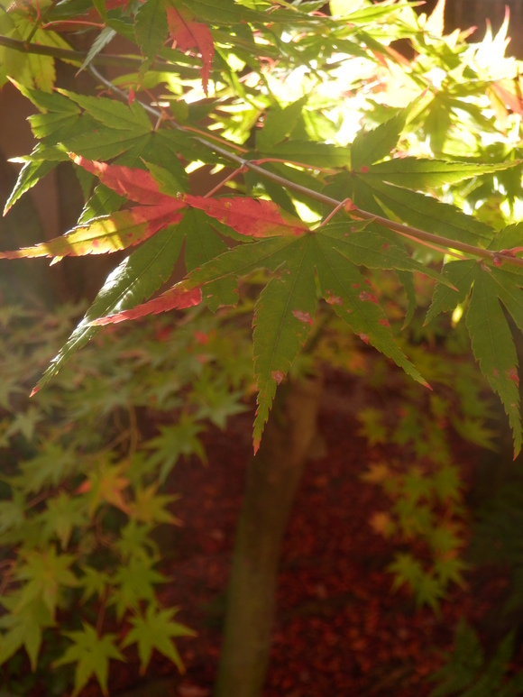c0062511_20444998.jpg