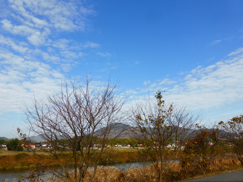 b0057612_179946.jpg