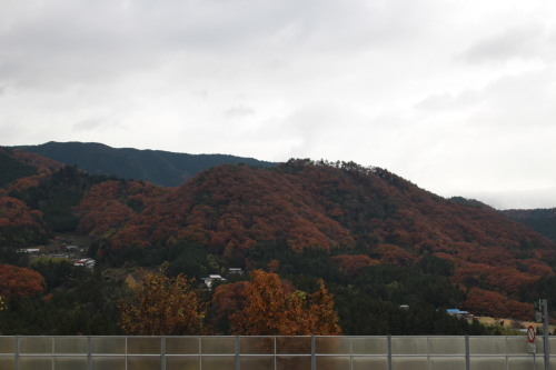 c0338613_17562714.jpg