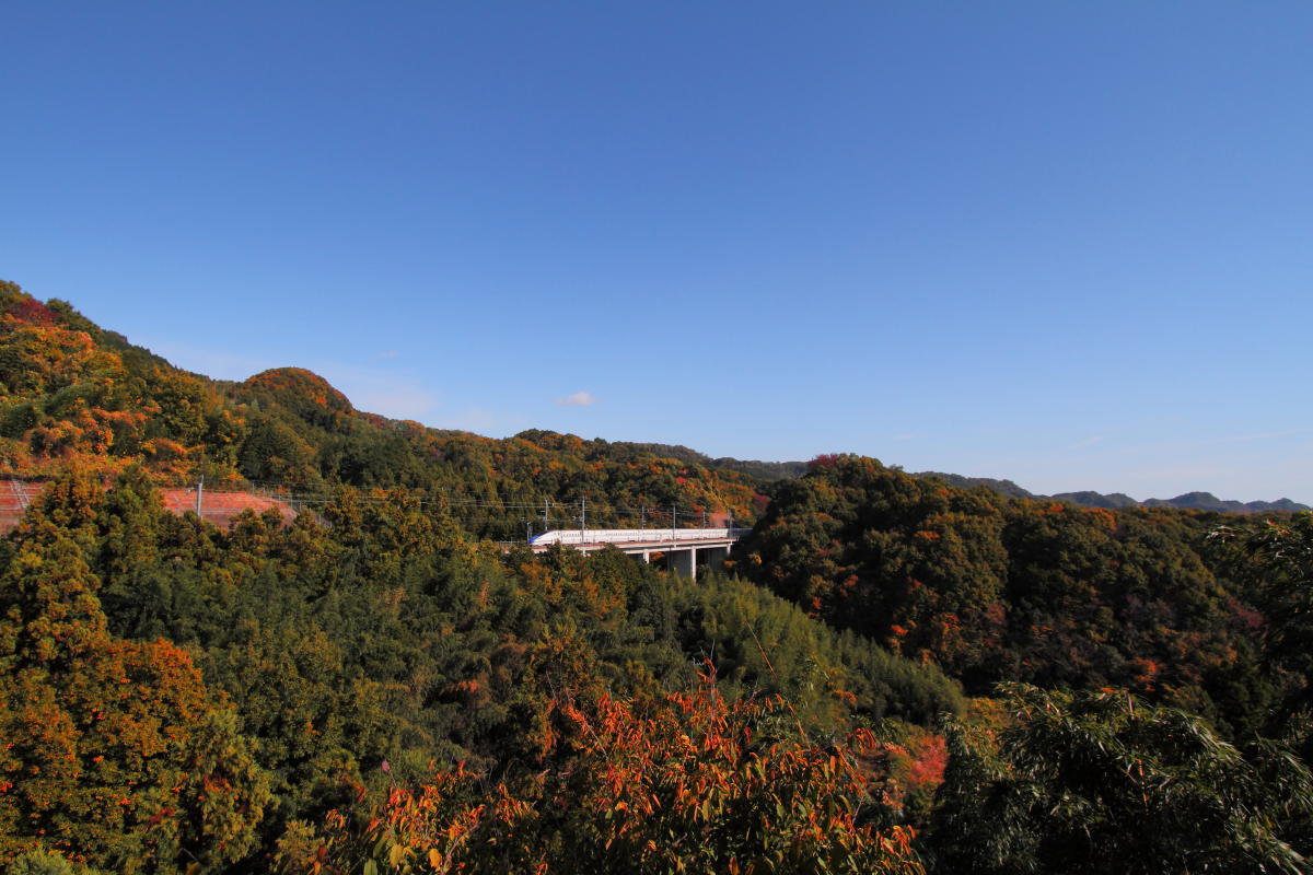 e0157717_00000423.jpg