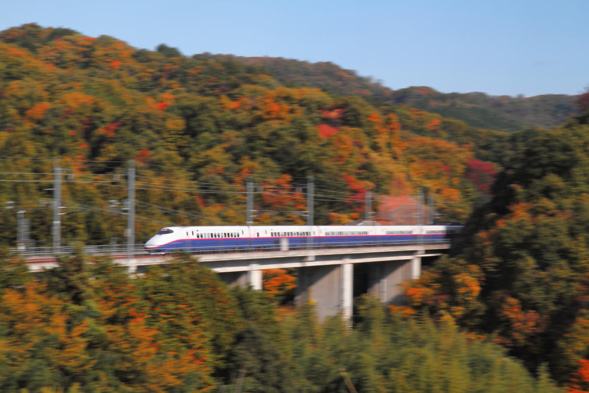 e0157717_00000464.jpg
