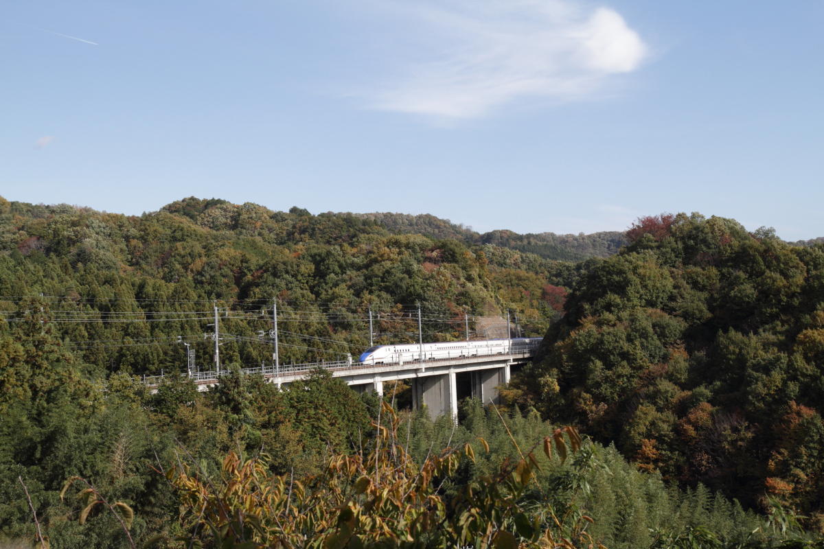 e0157717_00000528.jpg