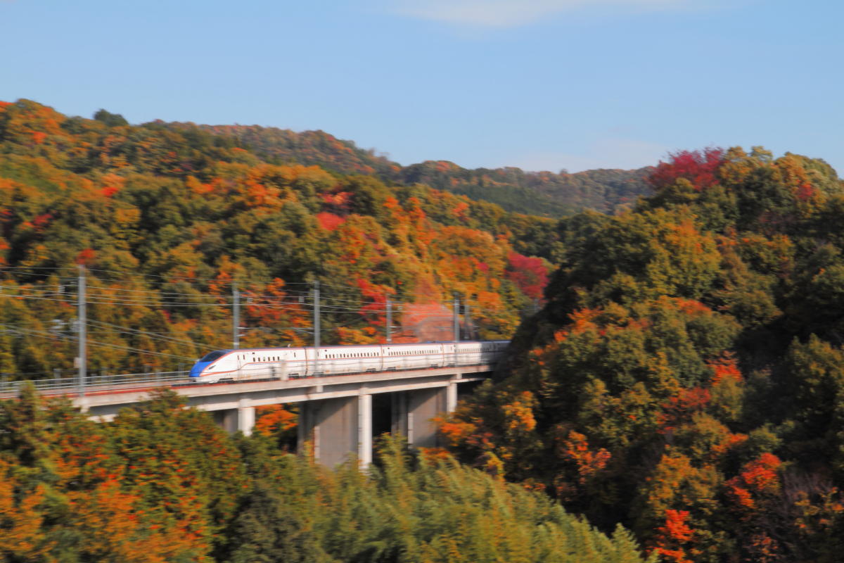 e0157717_00000643.jpg