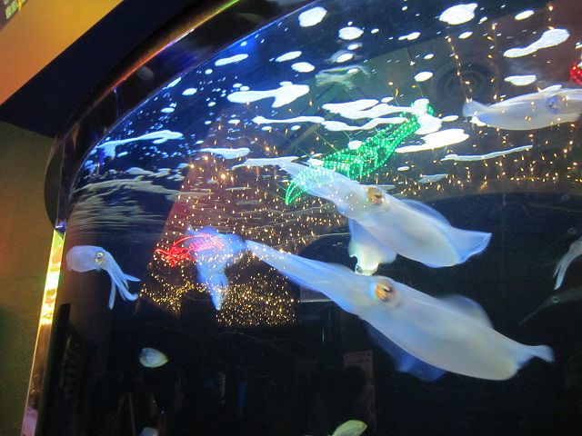 f0319323_22161513.jpg