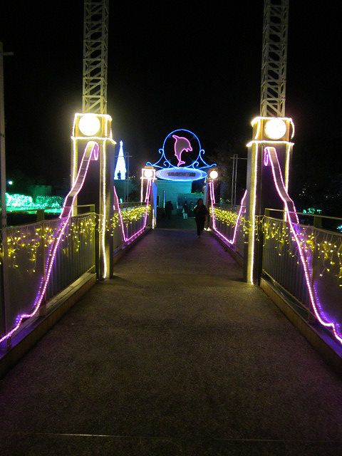 f0319323_22531658.jpg