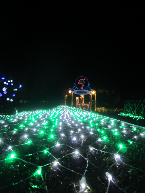 f0319323_22532783.jpg