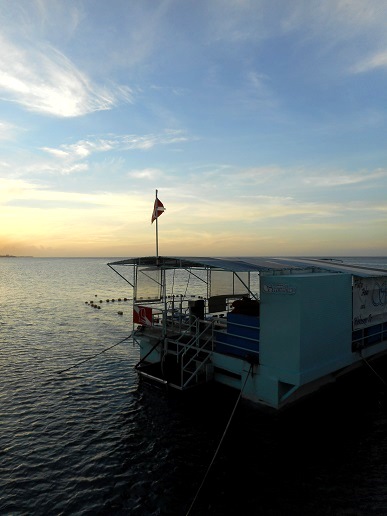 c0142326_11282754.jpg