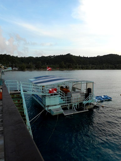 c0142326_11283329.jpg