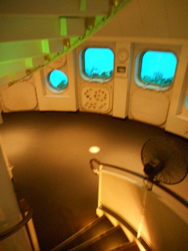 c0142326_11283997.jpg