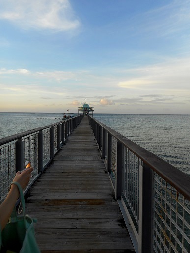 c0142326_11301411.jpg