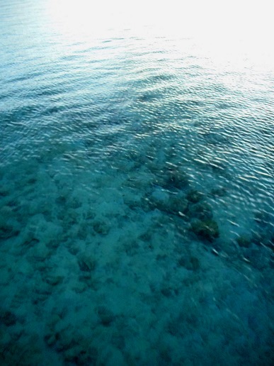 c0142326_11304257.jpg