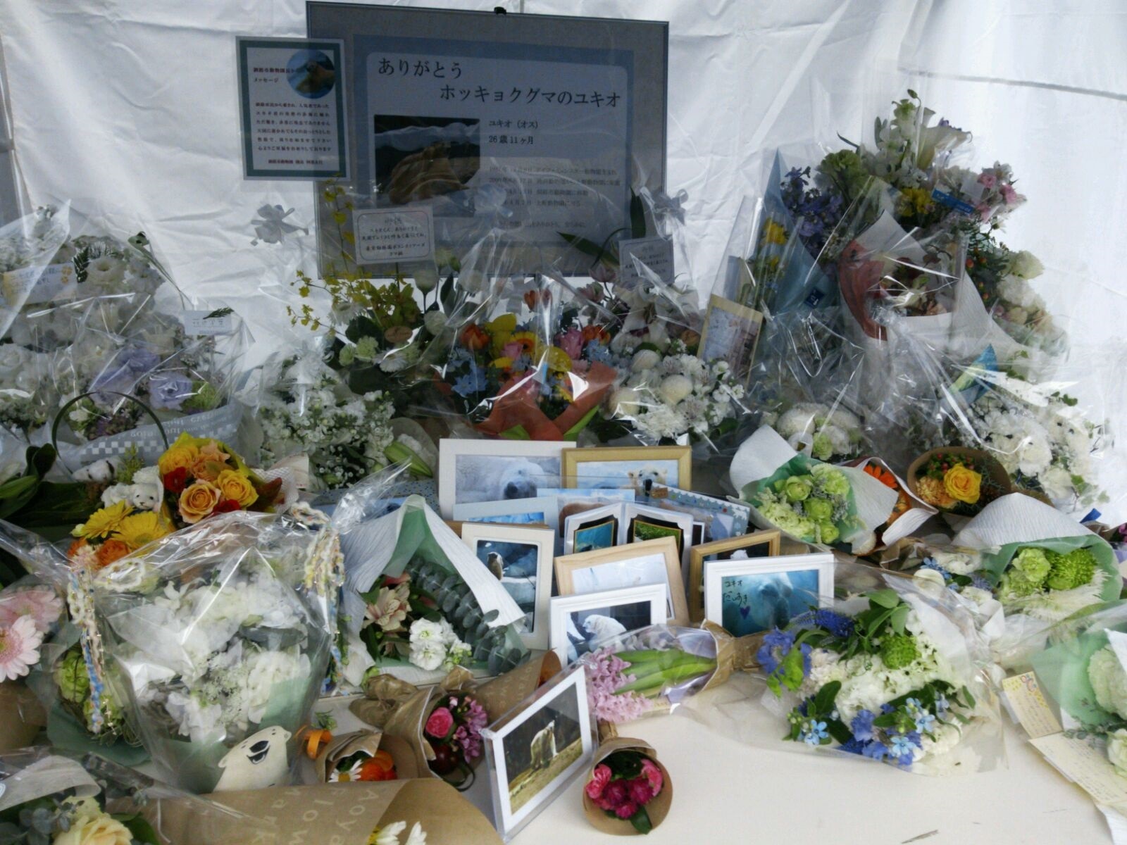 f0344626_23035278.jpg