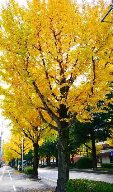 f0231829_22052275.jpg
