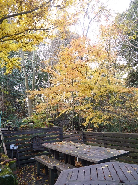 f0231829_22061146.jpg