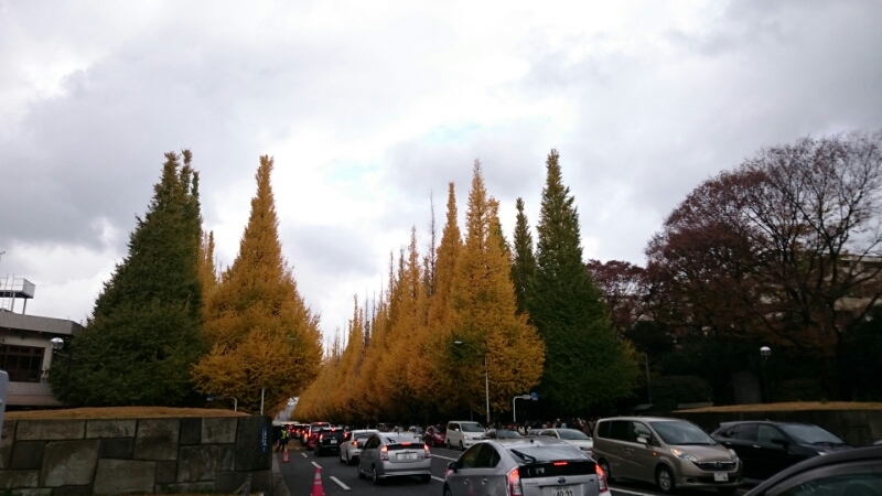 c0209932_23204154.jpg