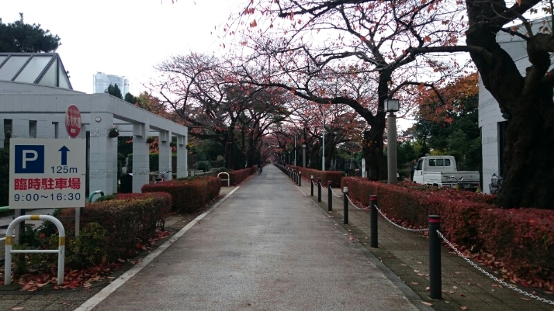 c0209932_23211730.jpg