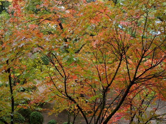 b0173833_629696.jpg