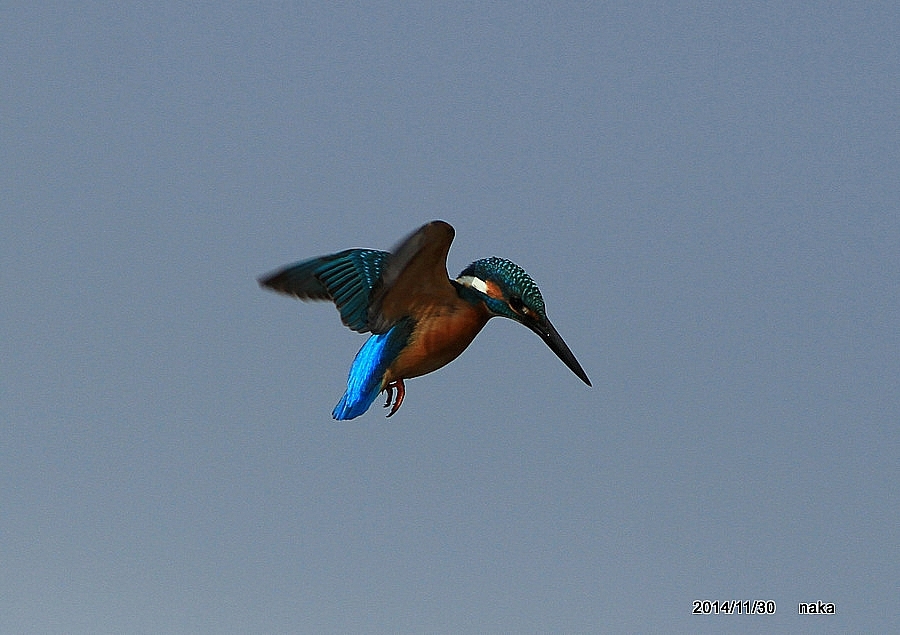 f0281533_17050418.jpg