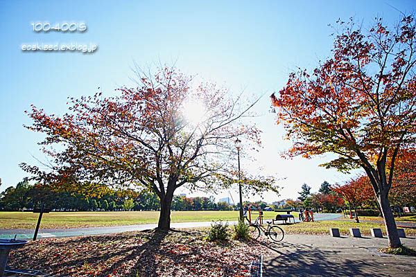 c0080036_022229.jpg