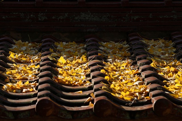 a0242438_2032178.jpg