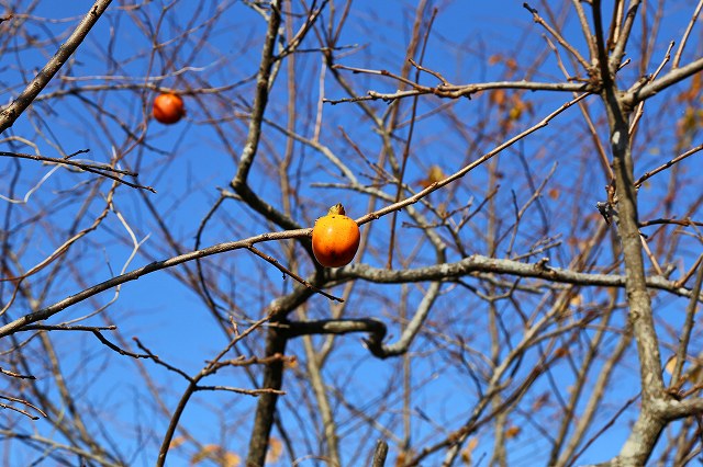 a0242438_2043955.jpg