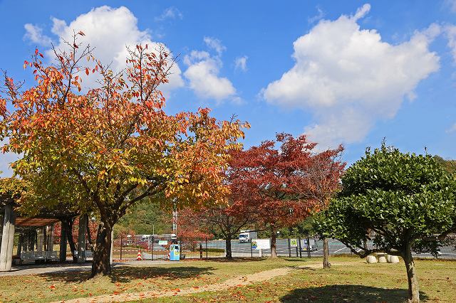 a0242438_2053025.jpg