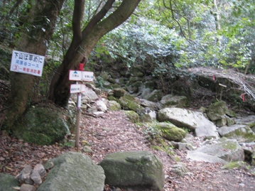c0077338_20422748.jpg