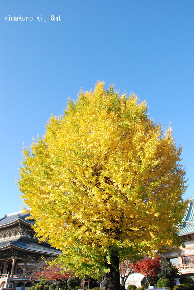 f0247039_12465722.jpg