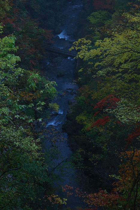 c0180845_0575323.jpg