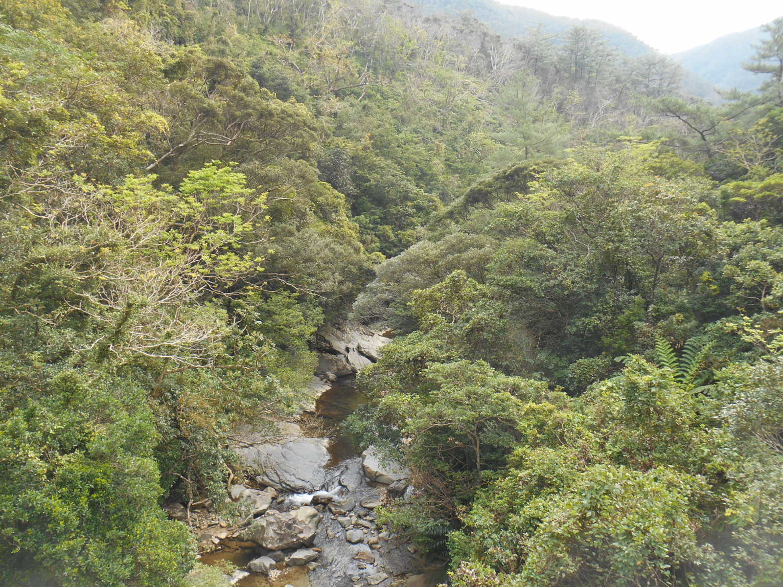 e0297347_22111068.jpg