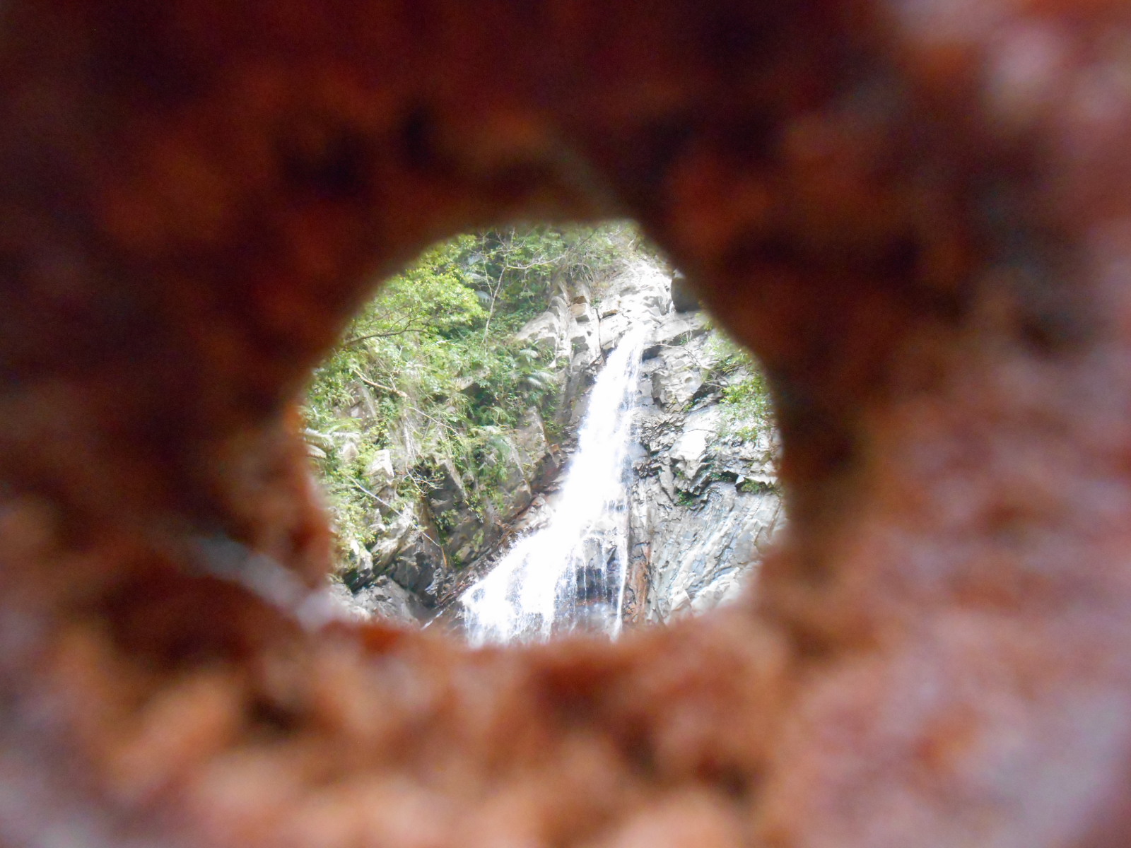 e0297347_22122017.jpg