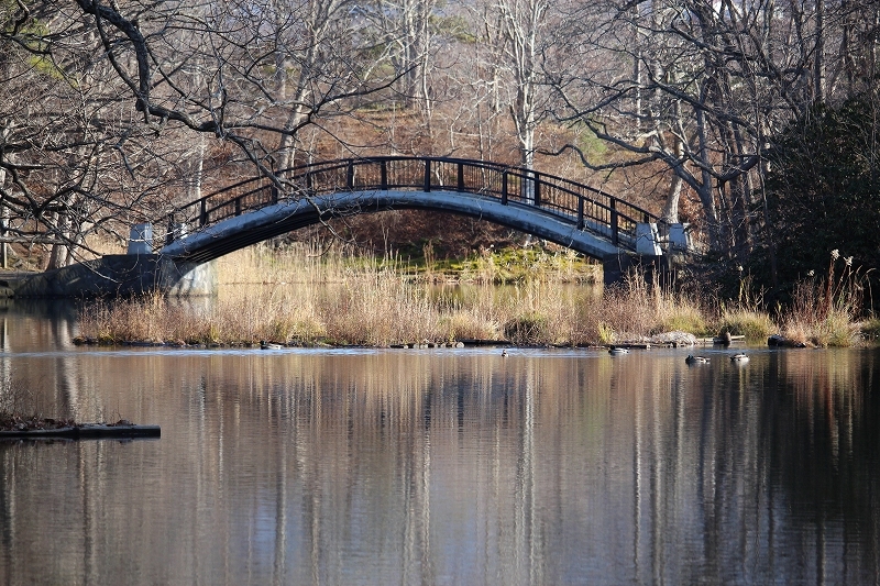 b0250154_07495000.jpg