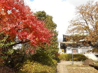 b0348064_21562320.jpg