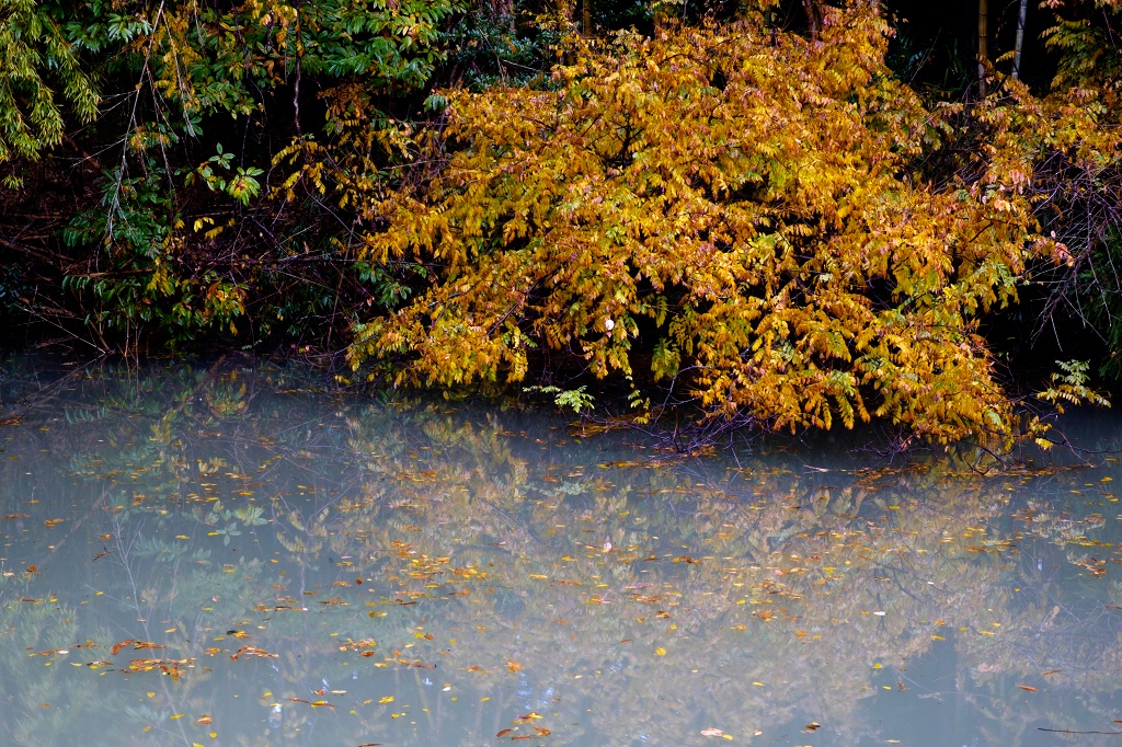 e0244181_2164324.jpg