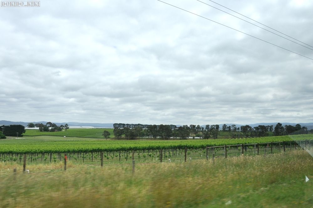 c0220084_2272065.jpg