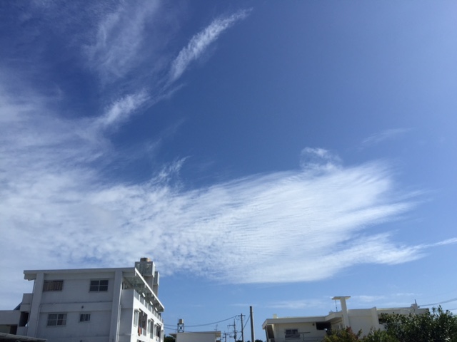 c0064389_18304243.jpg