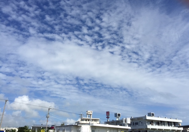 c0064389_18304259.jpg