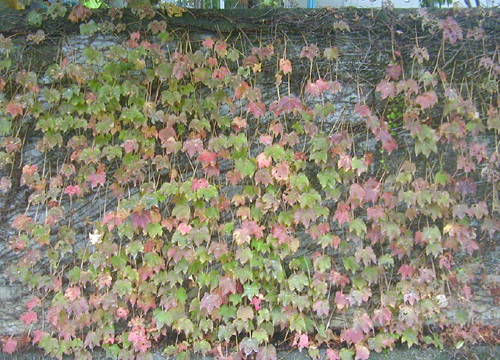 d0053294_1204789.jpg