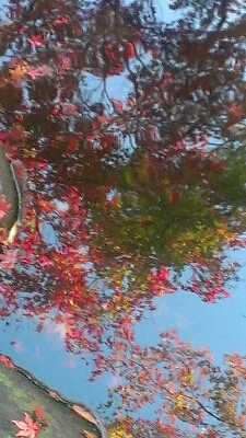 b0339997_15205663.jpg