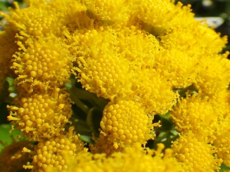 a0125598_18481167.jpg
