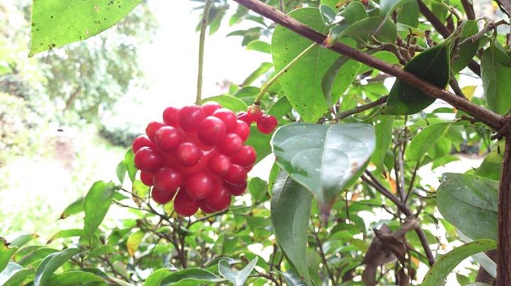 b0028299_215655.jpg
