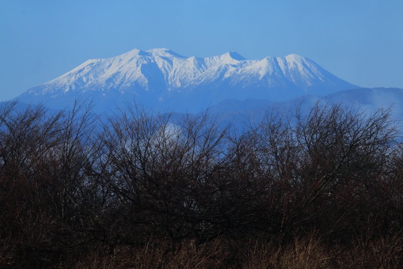 a0188405_23312824.jpg