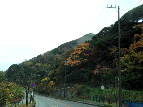 e0178307_14534065.jpg