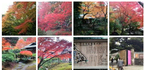 f0231709_2315245.gif